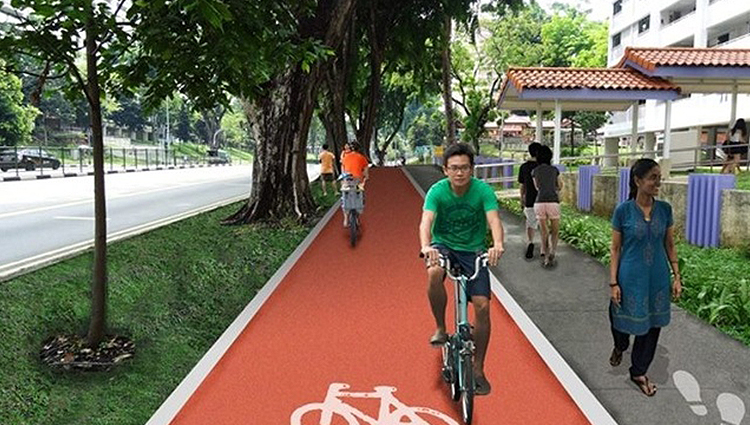 Cycling & Walking